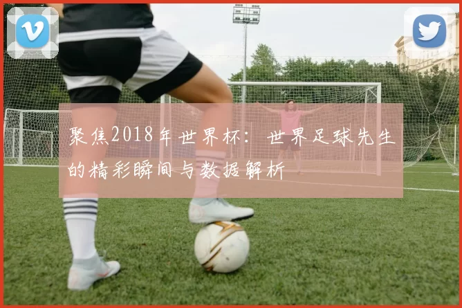 聚焦2018年世界杯：世界足球先生的精彩瞬间与数据解析