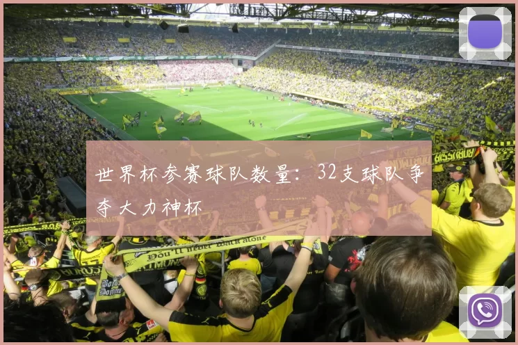 世界杯参赛球队数量:32支球队争夺大力神杯