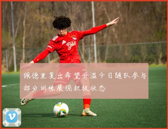 佩德里复出希望升温今日随队参与部分训练展现积极状态