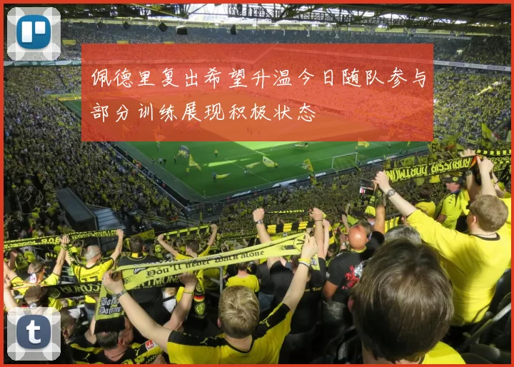 佩德里复出希望升温今日随队参与部分训练展现积极状态