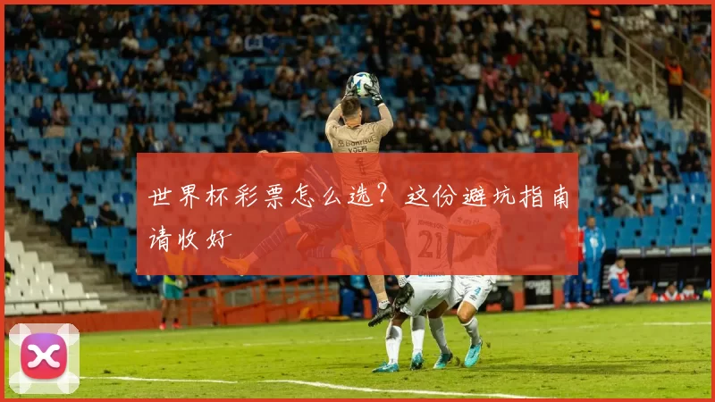 世界杯彩票怎么选？这份避坑指南请收好
