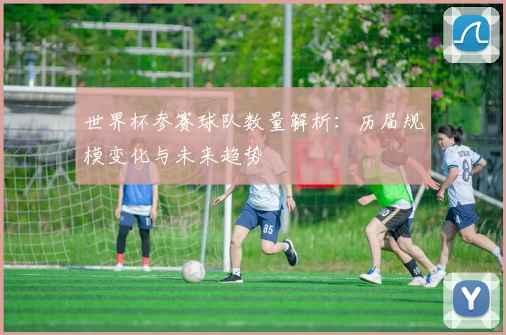 世界杯参赛球队数量解析:历届规模变化与未来趋势