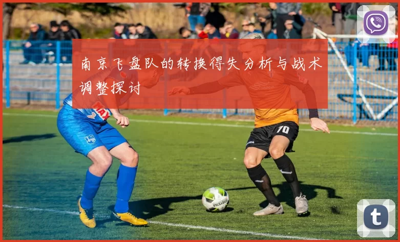 南京飞盘队的转换得失分析与战术调整探讨