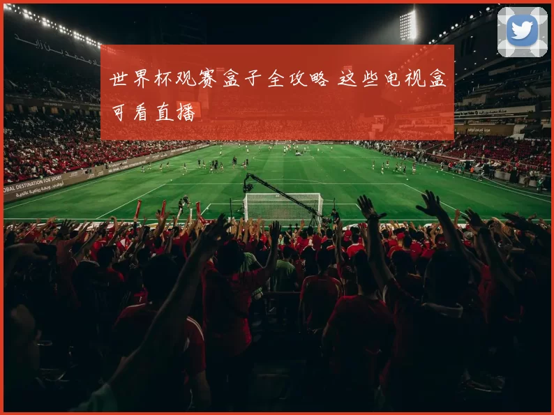 世界杯观赛盒子全攻略 这些电视盒可看直播