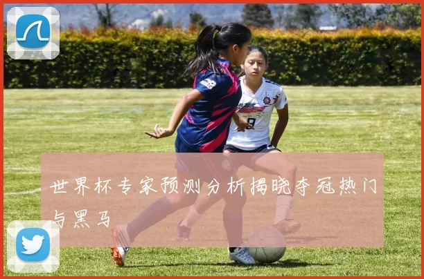 世界杯专家预测分析揭晓夺冠热门与黑马