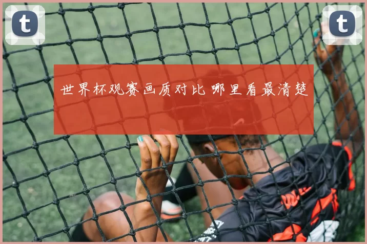 世界杯观赛画质对比 哪里看最清楚